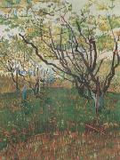Vincent Van Gogh Orchard in Blosson (nn04) France oil painting artist
